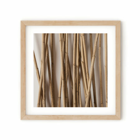 bamboo-50.frame