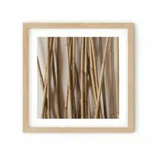 bamboo-50.frame