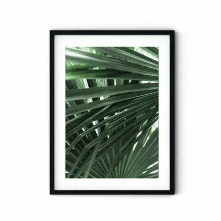 green-palms-frame