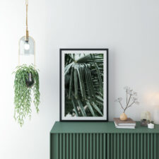 green-palms02-frame