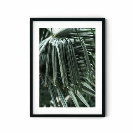 green-palms02-frame2