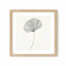 sketch-leaf-1-frame2