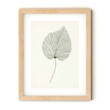 sketch-leaf-3-frame2