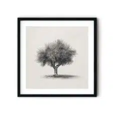 olive-tree-frame
